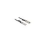Delock Kabel Twinax SFP+ Stecker zu SFP+ Stecker 2 m
