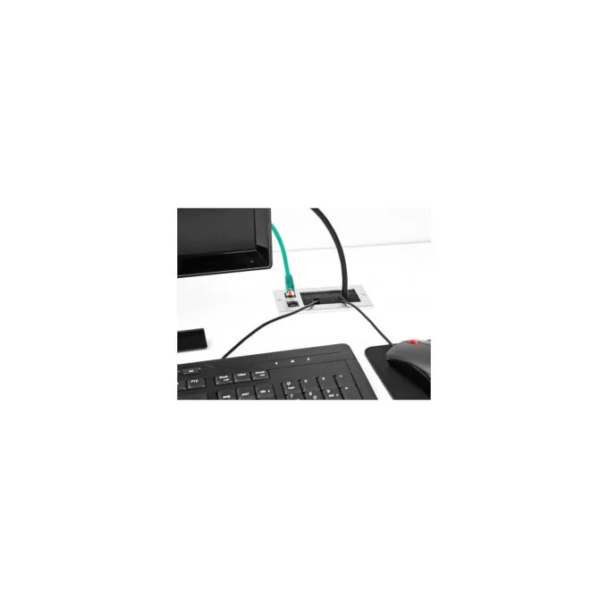 Delock Kabeldurchführung mit Bürste und 2 x RJ45 Keystone Modul Cat.6 Aluminium — image 4