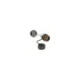 Delock Kabelverbinder RJ45 Buchse zu Cat.6A LSA mit Verschlusskappe wasserfest