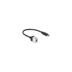 Delock Keystone Modul USB 5 Gbps Type-CTM Buchse zu USB Type-CTM Stecker mit Kabel 25 cm