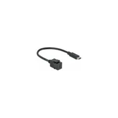 Delock Keystone Modul USB 5 Gbps Type-CTM Buchse zu USB Type-CTM Stecker mit Kabel 25 cm