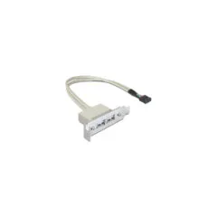 Delock Slot bracket - USB-Kabel - USB (W) bis 9-poliger USB-Header