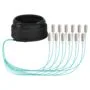 EFB Trunkkabel U-DQ(ZN)BH OM3 12G (1x12) SC-SC 20m Dca LSZH
