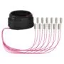 EFB Trunkkabel U-DQ(ZN)BH OM4 12G (1x12) SC-SC 20m Dca LSZH