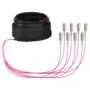 EFB Trunkkabel U-DQ(ZN)BH OM4 8G (1x8) SC-SC 40m Dca LSZH