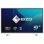 EIZO 108cm (42.5') EV4340X-BK 16:09 4K 2xHDMI+DP+USB-C IPS