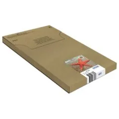 EPSON 1LB Multipack 4-colours 603 EasyMail