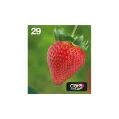 Epson Original Easy Mail Packing 29 Erdbeere Druckerpatronen - 4er Multipack