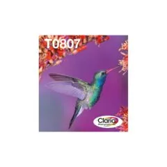 Epson Original Easy Mail Packing T0807 Kolibri Druckerpatronen 6er Multipack BK C M Y LC LM