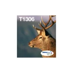 Epson Original Easy Mail Packing T1306 Hirsch Druckerpatronen 3er Multipack C M Y