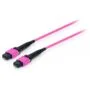 Equip LWL Patchkabel MTP- to MTP 3.00m Multimode OM4 TypA