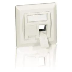 Equip Unterputzdose +Frontplatte 2 Keystone 45° RAL 1013 Polybeutel
