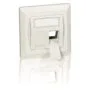 Equip Unterputzdose +Frontplatte 2 Keystone 45° RAL 1013 Polybeutel