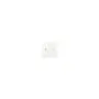 GIRA 329427 Wippe 2f Pfeil System 55 Reinweiß m