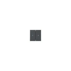 GIRA 329428 Wippe 2f Pfeil System 55 Anthrazit