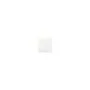 GIRA 329503 Wippe 2f System 55 Reinweiß