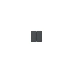 GIRA 329528 Wippe 2f System 55 Anthrazit