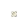 GIRA 418801 SCHUKO System 55 Cremeweiß