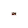 HIKVISION DS-KH7300EY-WTE2 White Innenstation 7' 2-Draht