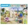 - Horses of Waterfall - Isabella & Lioness mit Waschplatz
