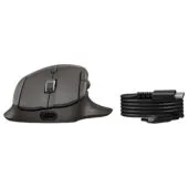 HP Ultra-Fast Scroll Wireless B Mouse 785M Rechargable