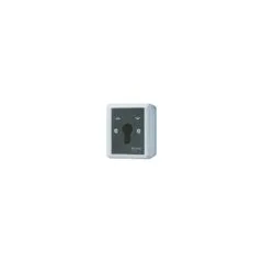 Jung 834.28 G AP WD-Schlüsselschalter 2p Wende