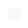 Jung LS102WW Wippe f.Serientaster