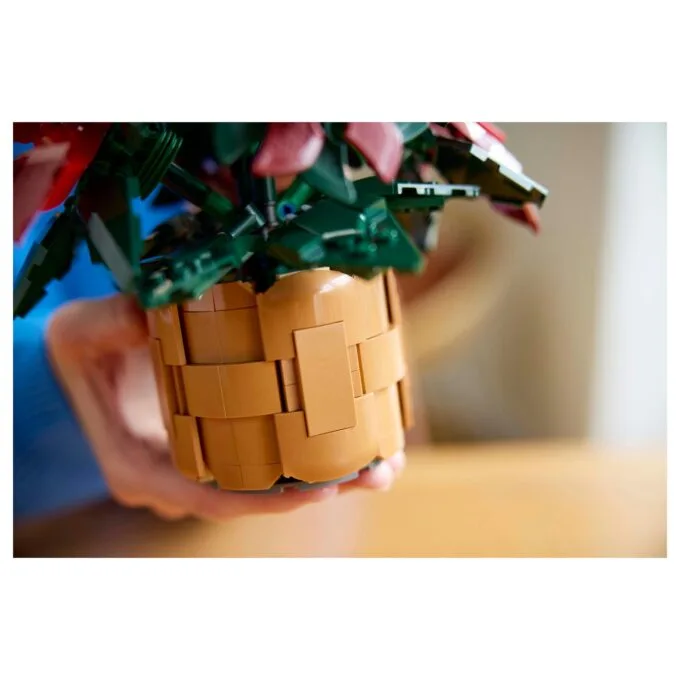 LEGO 10370 Icons Weihnachtsstern — image 14