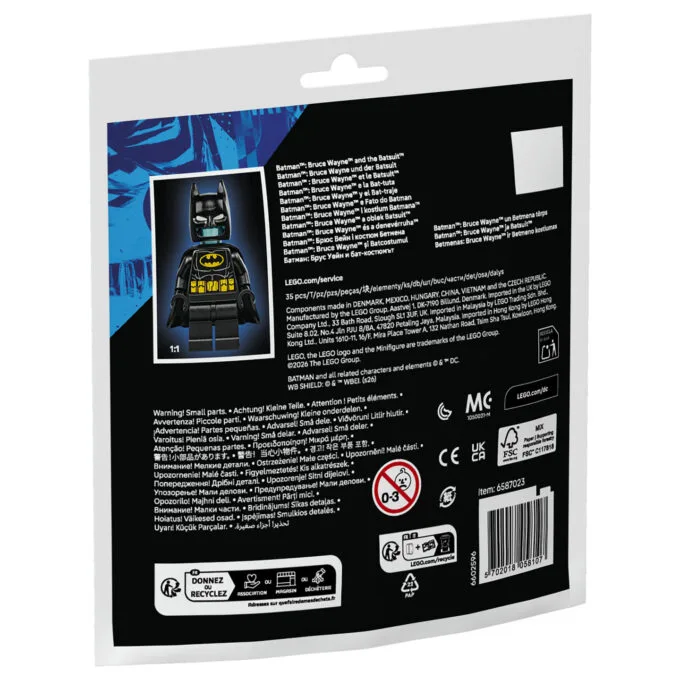 LEGO 30726 Super Heroes Batman: Bruce Wayne und der Batsuit — image 6