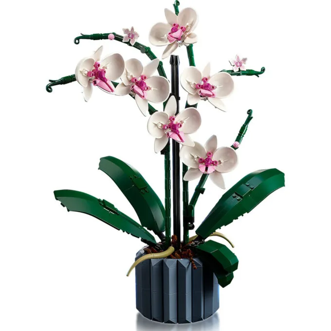LEGO Creator Botanicals Collection Orchidee 10311 — image 11