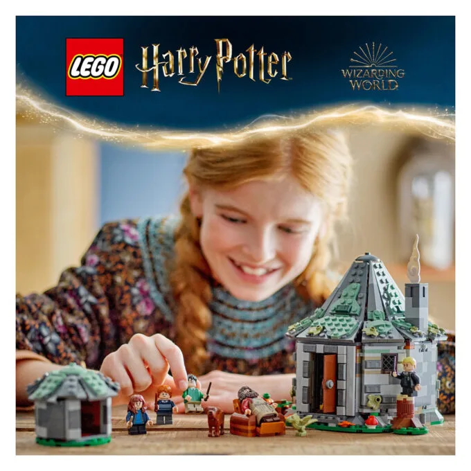 LEGO Harry Potter Hagrids Hütte: Ein unerwarteter Besuch 76428 — image 11