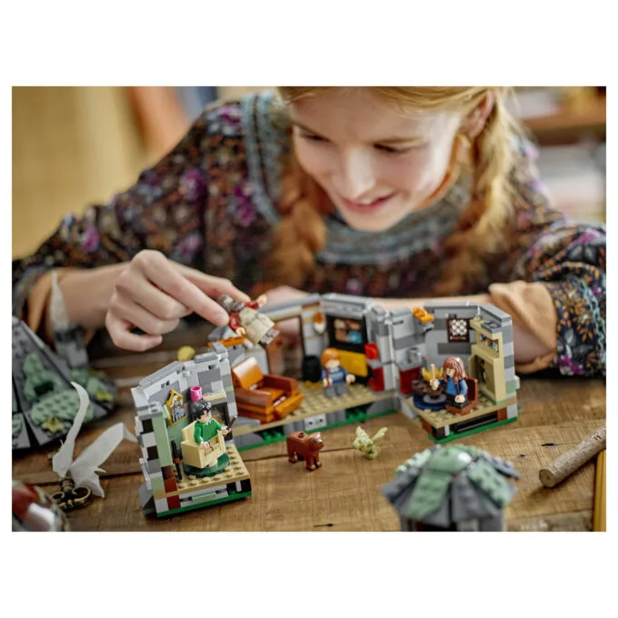 LEGO Harry Potter Hagrids Hütte: Ein unerwarteter Besuch 76428 — image 20