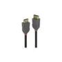 LINDY DisplayPort 1.2 Kabel, Anthra Line 10m