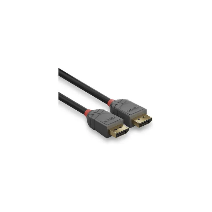 LINDY DisplayPort Kabel Anthra Line 1m — image 3