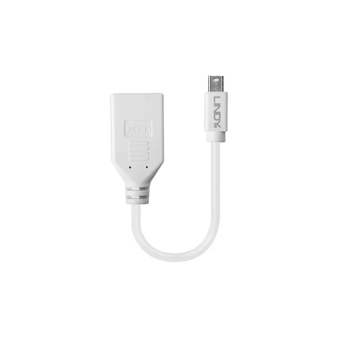 LINDY Mini-DisplayPort an Displayport Adapterkabel M F 0.15m — image 2