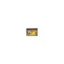 Optoma DS-9092PWC Manuelle Pull Down Leinwand für Wand- Deckenmontage, 16:9, (92') 233,7 cm