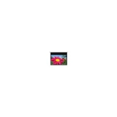 Optoma Motorleinwand 275x201 16:10