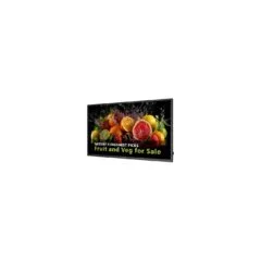 PHILIPS D-Line 55BDL5050D 139,7cm(55') 24 7 UHD Android14