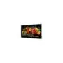 PHILIPS D-Line 55BDL5050D 139,7cm(55') 24 7 UHD Android14
