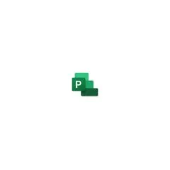 Project Professional 2024 - Lizenz - Download - ESD - Win - alle Sprachen