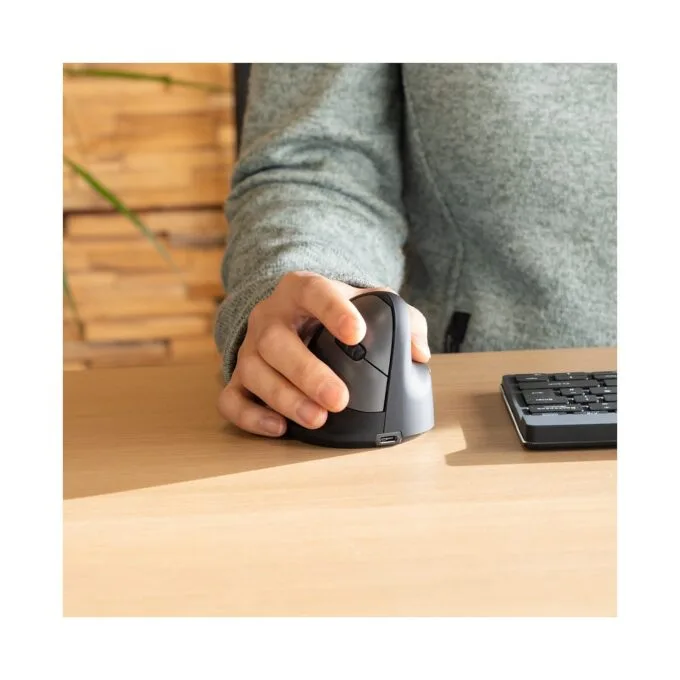 R-Go Maus HE ergonomisch rechts Bluetooth mittel schw. silb retail — image 6