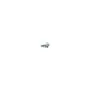 RAID Broadcom Kabel 1x8 SFF-8654 to 2x4 SFF-8643 Mini-SAS HD 1m
