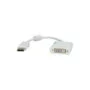 ROLINE ADAPTERKBL DP-DVI ST BU V1.2