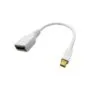 ROLINE DisplayPort Kabeladapter. DP BU - Mini DP ST. 0.15 m