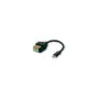 ROLINE Kabeladapter USB-Typ-C Stecker zu 5-Pin-Klemmleiste. (Drucktasten). 15 cm