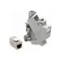 ROLINE Tragschienenadapter fr Keystone Module, inkl. Cat.6A Keystone, geschirmt, 45