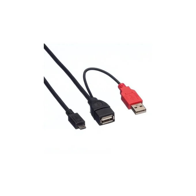 ROLINE USB 2.0 Y-Kabel 2x Typ A ST BU - Micro B ST 1m — image 2