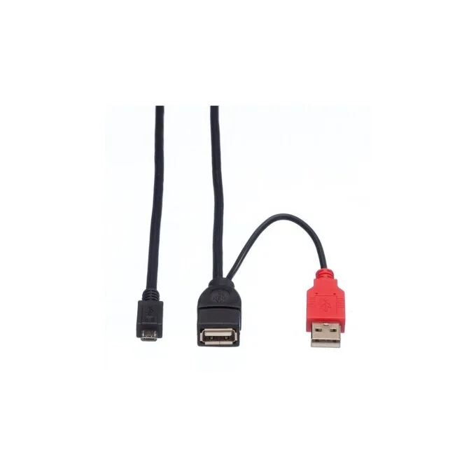 ROLINE USB 2.0 Y-Kabel 2x Typ A ST BU - Micro B ST 1m — image 3