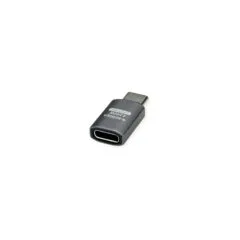 ROLINE USB4 Gen 3x2 Adapter Typ C ST BU. Aluminium. gerade. silberfarben