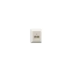 Rutenbeck Dose. AP. ISDN. UAE. 8 8 (8 8). Reinweiss. UAE 8 8 (8 8) Ap rw.